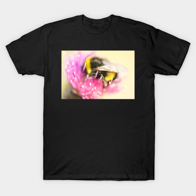 FUZZY FEELINGS... T-Shirt by dumbodancer